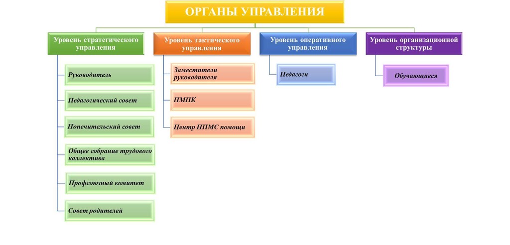 органы управления